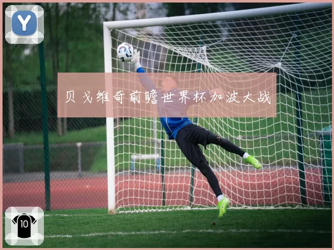 贝戈维奇前瞻世界杯加波大战