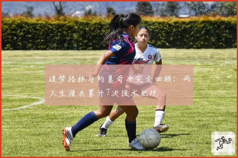 追梦格林与约基奇冲突全回顾:两人生涯共累计7次技术犯规