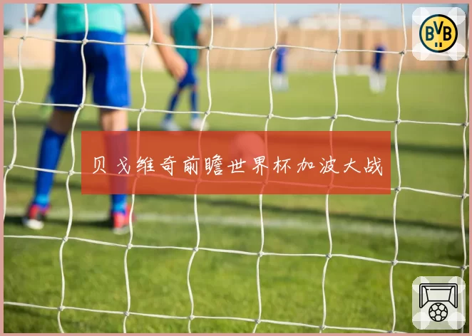 贝戈维奇前瞻世界杯加波大战